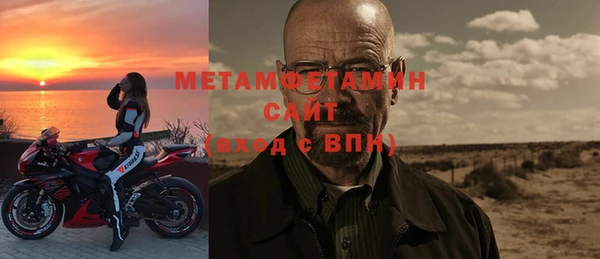 гидра Богородицк