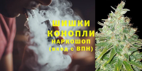 гидра Богородицк