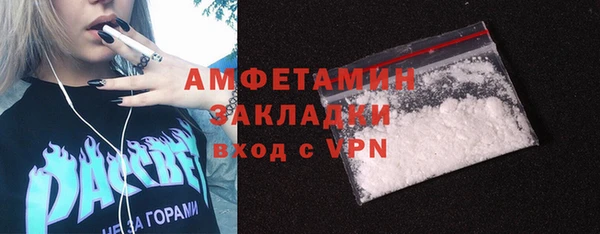 гидра Богородицк