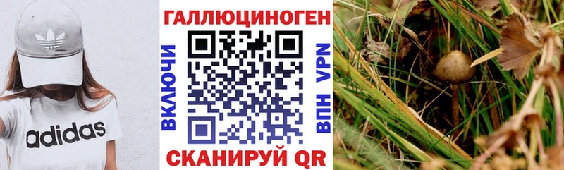 купить наркотик Магас Псилоцибиновые грибы мицелий